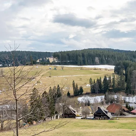 Angela Apartman Schonach im Schwarzwald